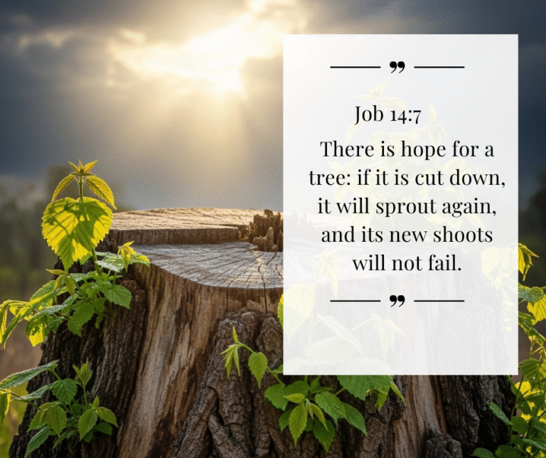 Finding Strength in Pain
