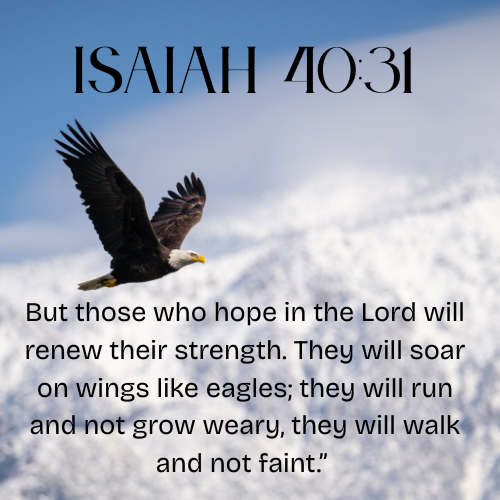 Faith in God, Daily encouragement, Bible study, Christian living, Spiritual growth, Overcoming burnout, Hope and perseverance